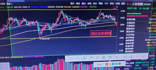 3天4例 北京迎战奥密克戎和德尔塔，疫情新挑战下的防控策略与市民行动指南