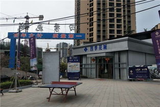 巴中房产市场探秘，一平方的奥秘