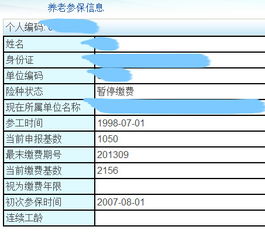 北京社保缴费年限，政策解读与个人规划指南