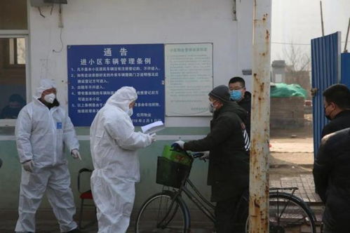 石家庄疫情新动态，防控措施与市民生活现状