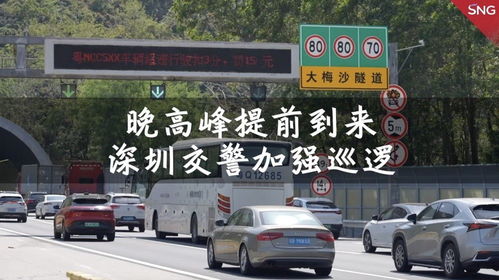 深圳交通网违章查询，轻松掌握违章信息，保障安全出行