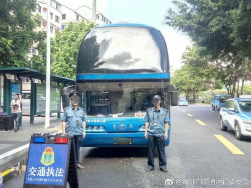 深圳交通网违章查询，轻松掌握违章信息，保障安全出行