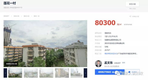 深圳国土资源和房产管理局，城市发展的守护者与创新者