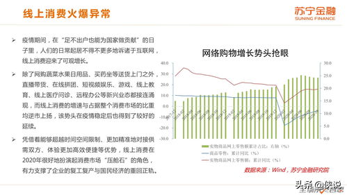深度解析，其他服务业税率对经济的影响及其未来趋势