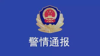 汕尾市公安局，守护平安的蓝色盾牌