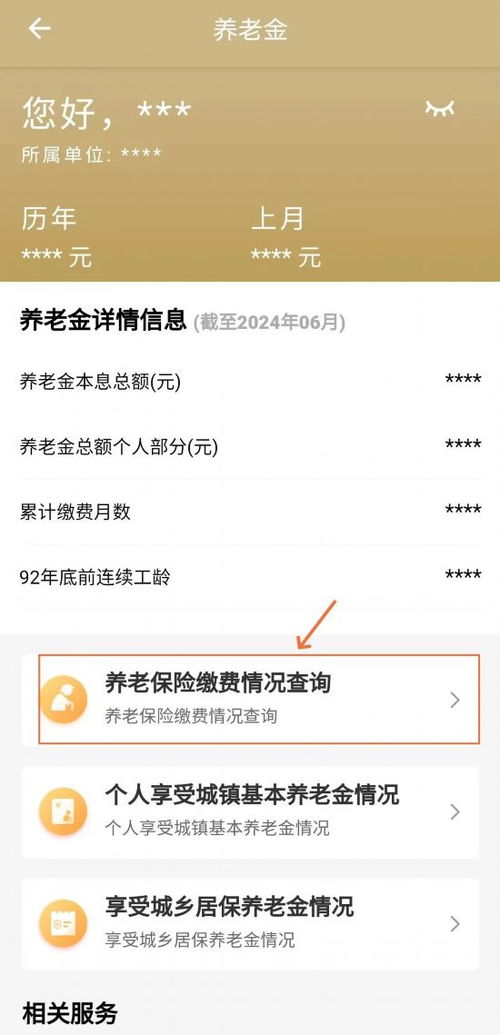 掌握您的未来，如何查询个人养老保险缴费情况