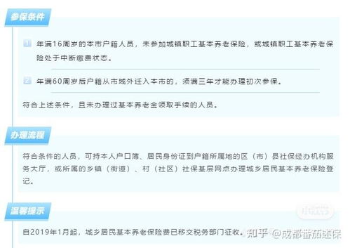 掌握您的未来，如何查询个人养老保险缴费情况