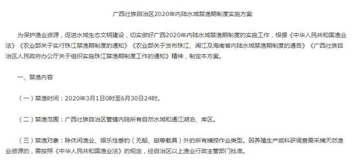 深入了解通缉犯名单，保护社会安全的关键工具