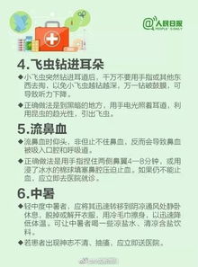 深入理解训诫，含义、应用及其在生活中的重要性