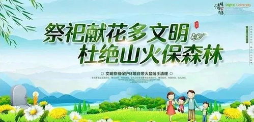 清明节假期，传统与现代生活的和谐交融