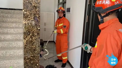 郑州无症状感染者的出现，理解、预防与应对策略