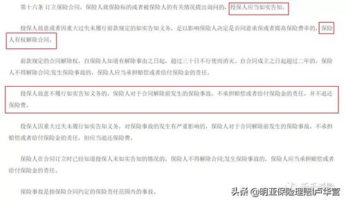 投保人与被保险人，保险合同中的关键角色