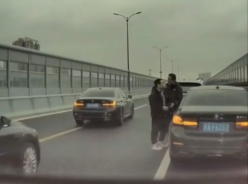 南京宝马肇事案，法律与道德的十字路口