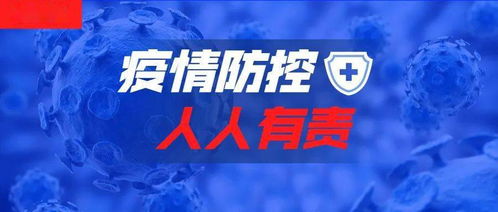 全国肺炎疫情最新动态，防控进展与未来展望