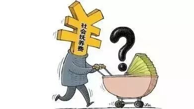 社会抚养费，理解、影响与未来趋势