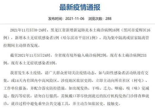 北京疫情新挑战，确诊病例过百，市民生活与防控措施的双重考验