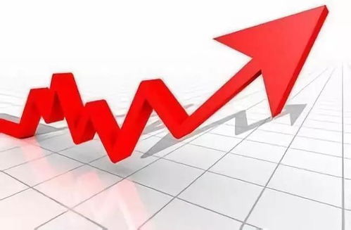 股票发行市场，财富增长的起点，投资世界的大门