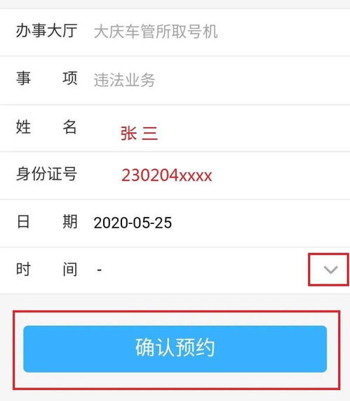 聊城车辆违章查询，如何高效管理您的驾驶记录
