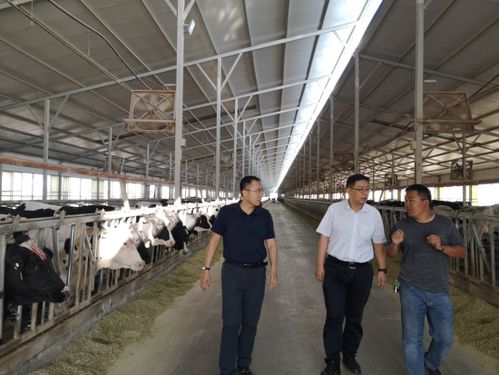 沈阳市地方税务局，税收服务与地方经济发展的桥梁