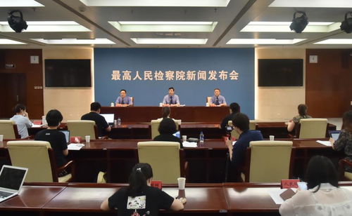 沈阳市地方税务局，税收服务与地方经济发展的桥梁