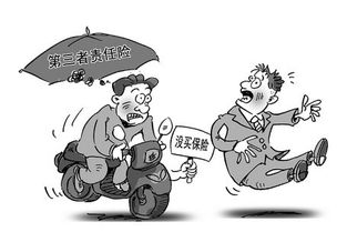 深入了解机动车保险查询，保护您的车辆与财务安全