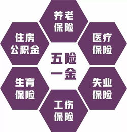 全面解析，五险一金中的五险究竟是什么？