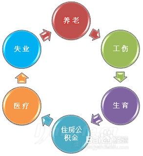全面解析，五险一金中的五险究竟是什么？