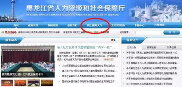 哈尔滨养老保险，保障未来，从了解开始