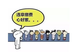 云南违章代办，轻松解决交通烦恼，让出行更无忧