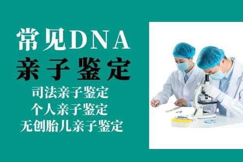 亲子鉴定秘档，揭开DNA背后的真相与伦理挑战