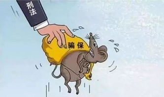 揭秘碰瓷，生活中的小把戏与大智慧