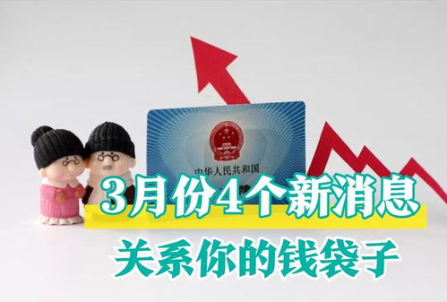 税务筹划的艺术，如何巧妙管理你的钱袋子