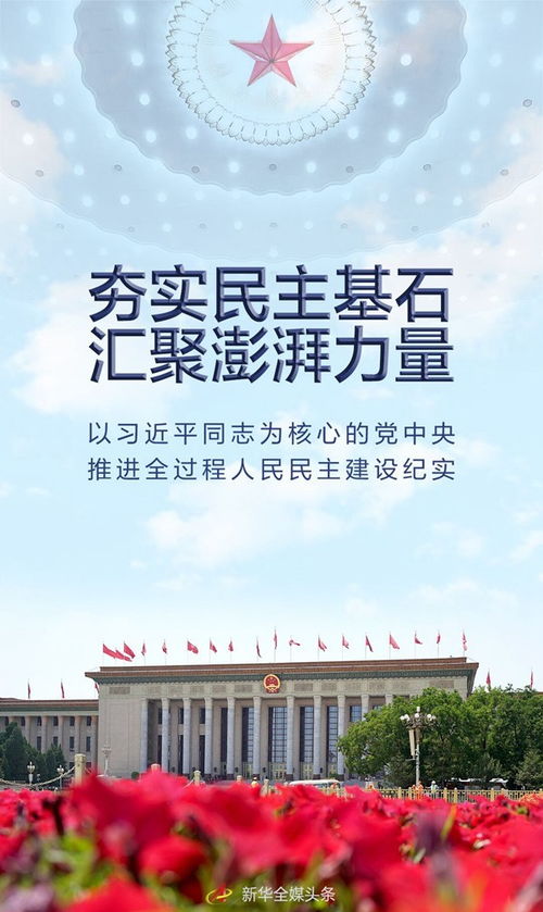 德国基本法，民主与自由的基石