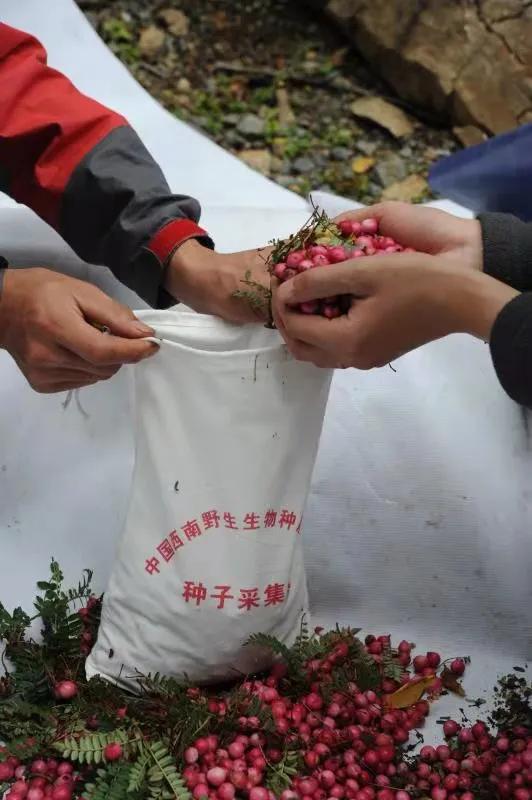 广东省质量技术监督局，守护质量安全的守护者