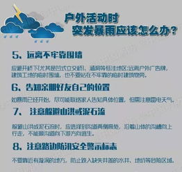 贵阳市疫情最新情况，了解、预防与应对指南