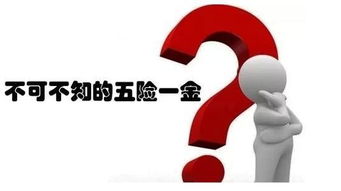 辞职后五险一金何去何从？一份全面的指南助你轻松应对
