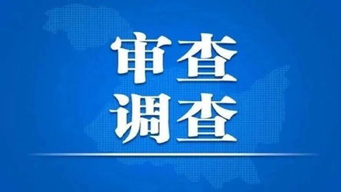 大连劳动保障网查询指南，一站式了解你的权益与福利