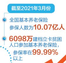 个人养老金保险查询指南，如何确保您的未来财务安全