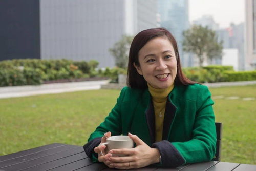 出京最新规定，全面解读与出行指南