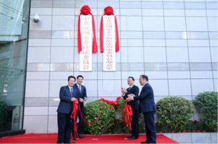 深圳市司法局，城市法治的守护者