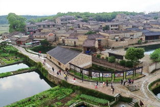 小果庄村，乡村发展的缩影与启示