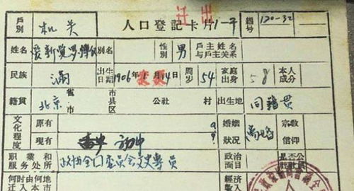 家谱里的奥秘，如何巧妙书写你的家庭出身
