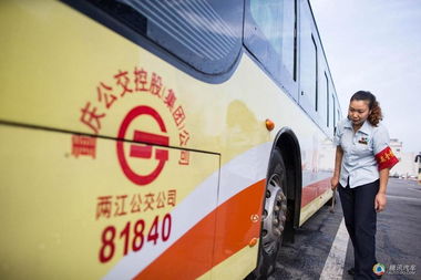 重庆公交车事件，安全驾驶与公共道德的反思