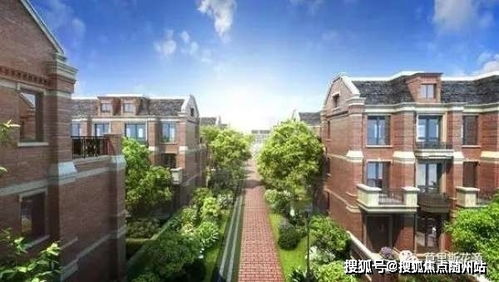 上海疫情数据，深入分析与未来展望