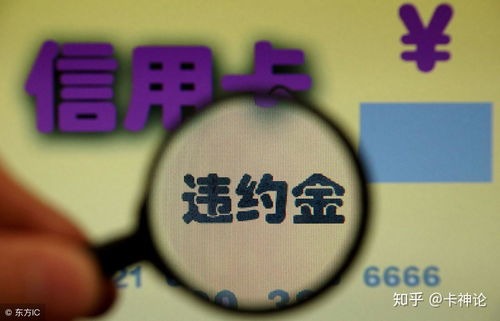 征信管理条例，守护你的信用之盾