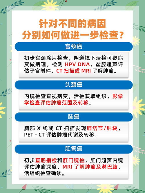 百色疫情最新情况，深入解析与应对策略