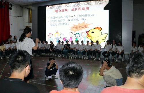 深圳暑假工，机遇、挑战与成长—探索年轻一代的暑期实践之旅