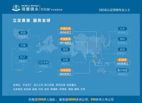 英国公司年审费用全解析，成本、流程与注意事项