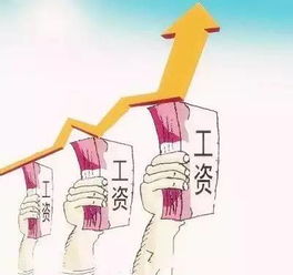 揭秘公务员的钱袋子，工资的奥秘与生活影响