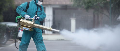 广东疫情新动态，本土确诊病例增加的警示与应对策略